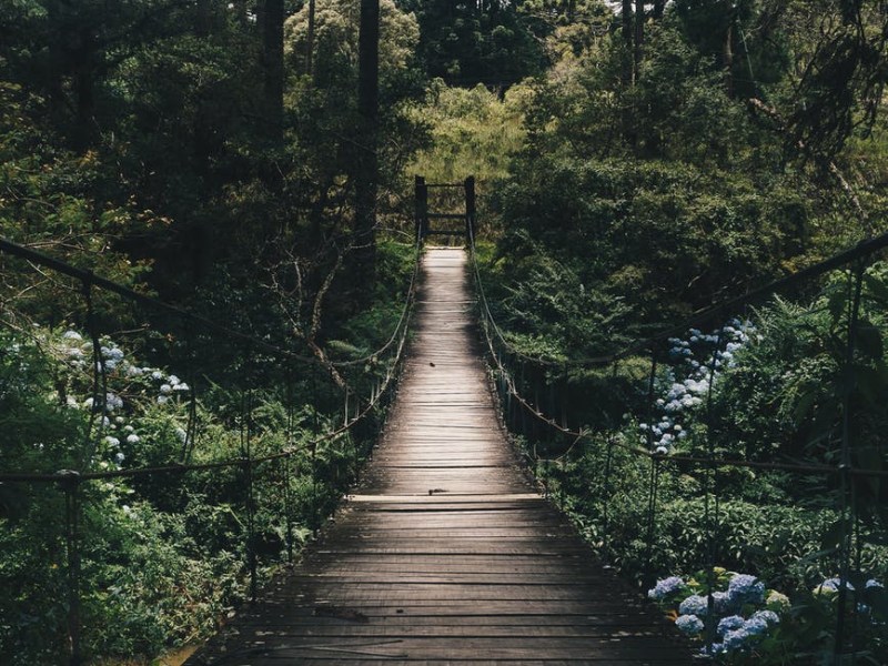 Alfabetizzazione sanitaria (Health&nbsp;literacy)